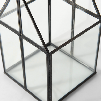 Terrarium en verre Sikes