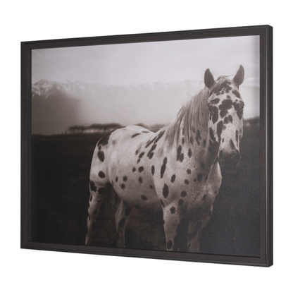 Estampe encadrée Spotted Solo