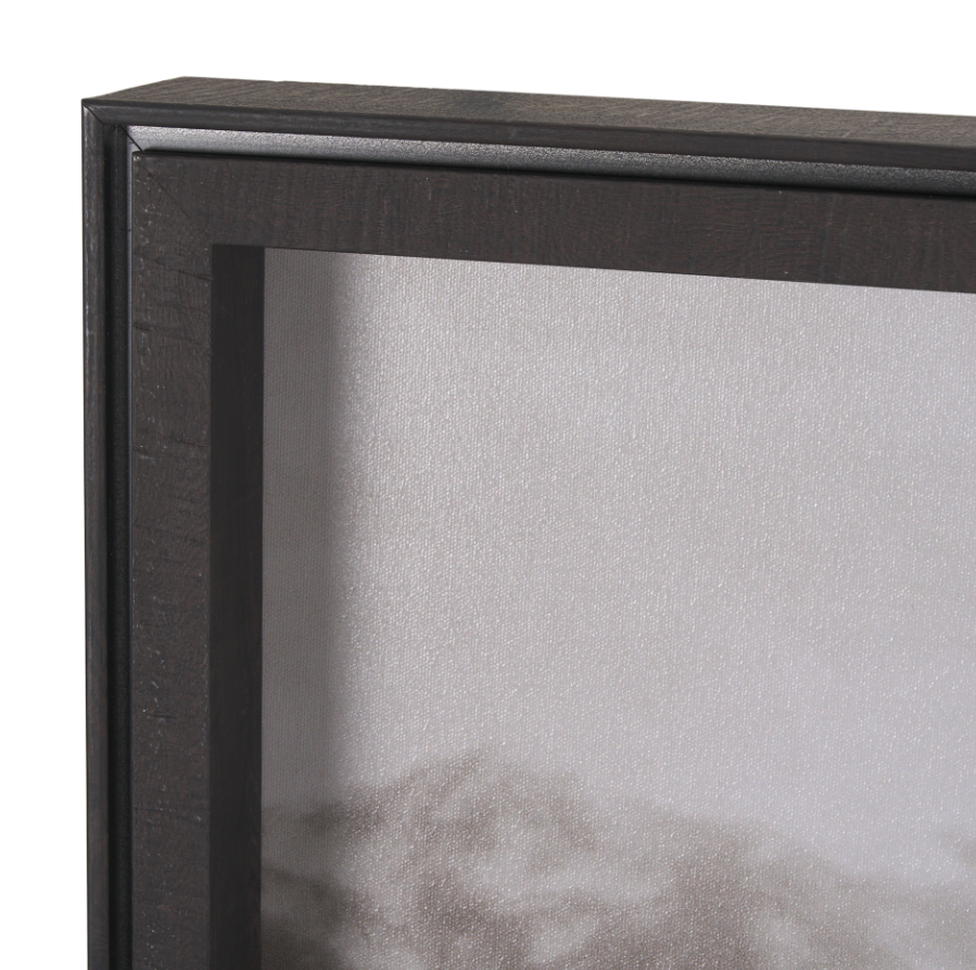 Estampe encadrée Spotted Solo