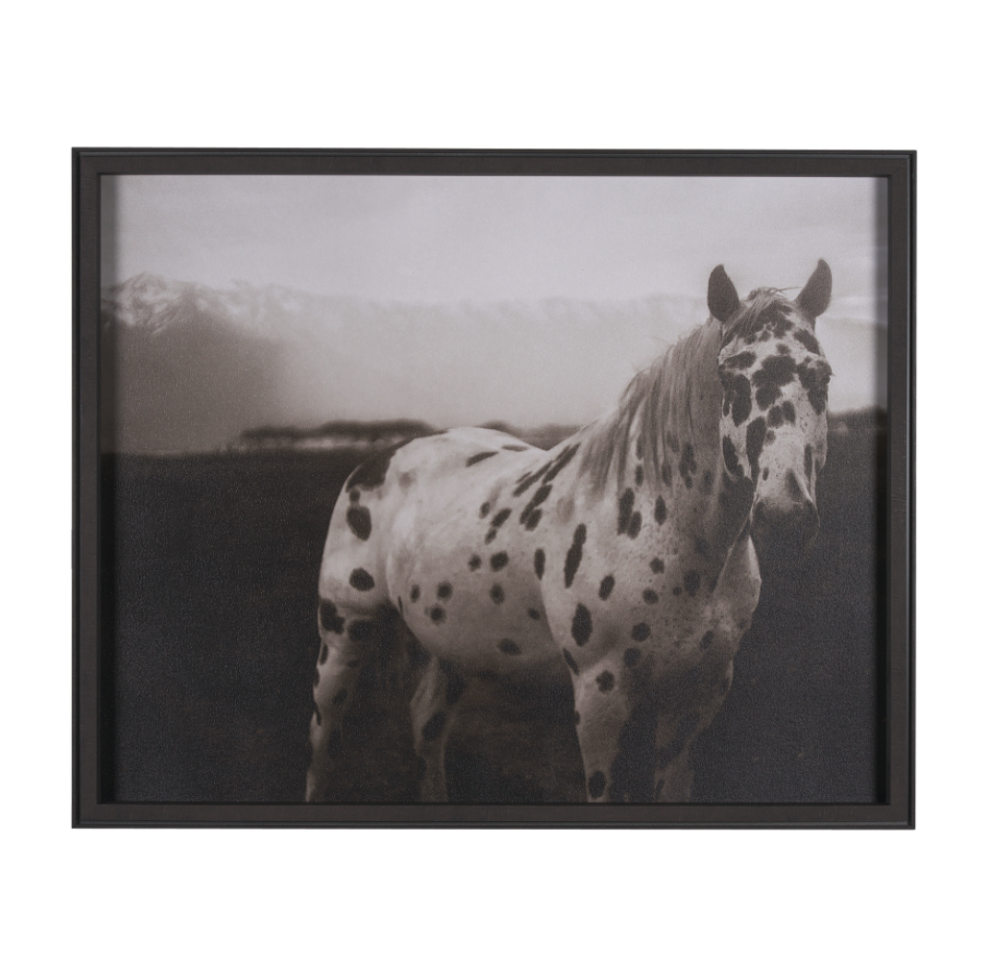 Estampe encadrée Spotted Solo