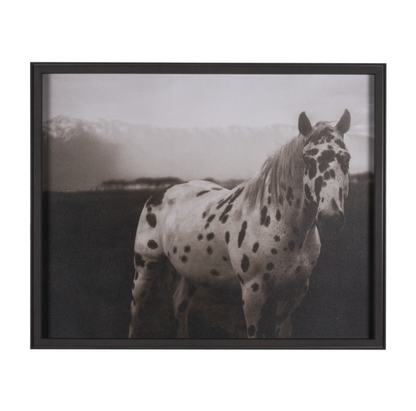 Estampe encadrée Spotted Solo