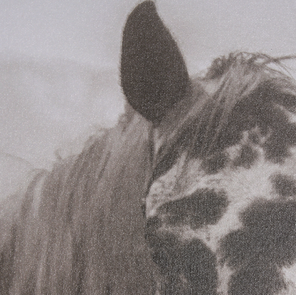 Estampe encadrée Spotted Solo