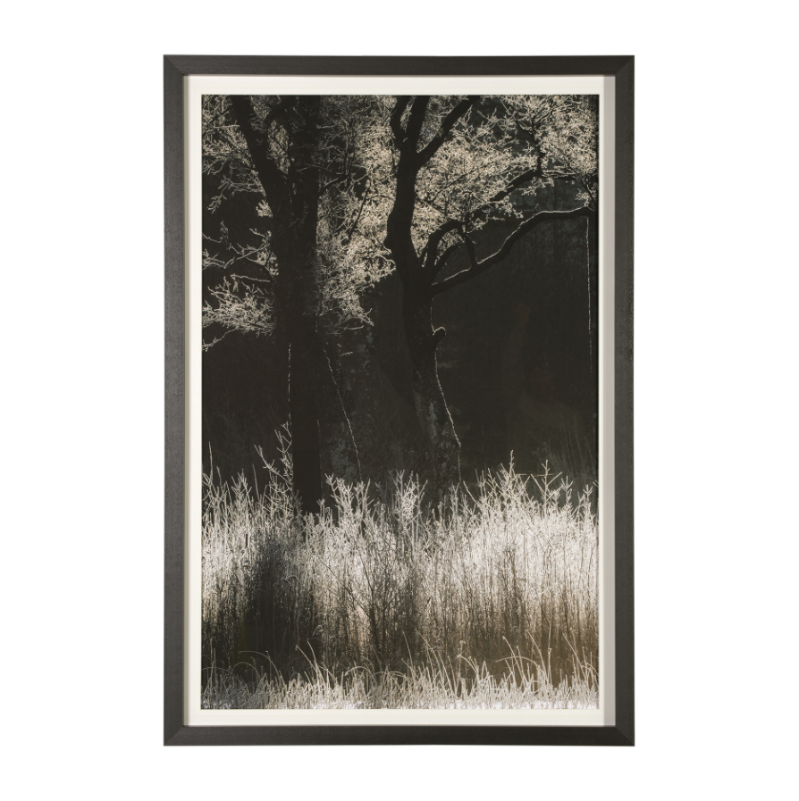 Estampe encadrée « Symétrie tranquille »