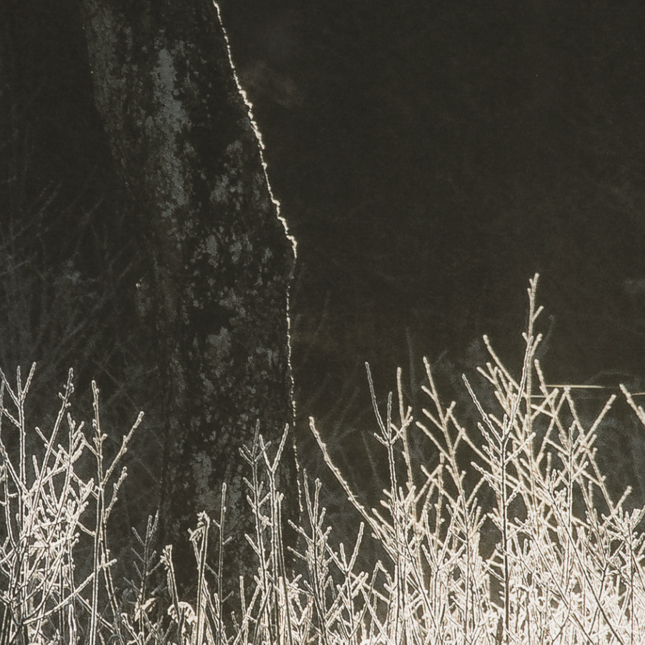 Estampe encadrée « Symétrie tranquille »