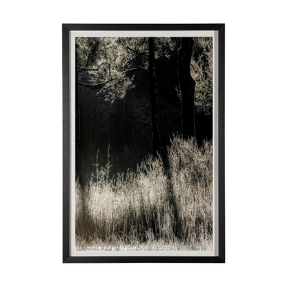 Estampe encadrée « Symétrie tranquille »