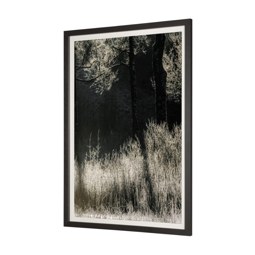 Estampe encadrée « Symétrie tranquille »