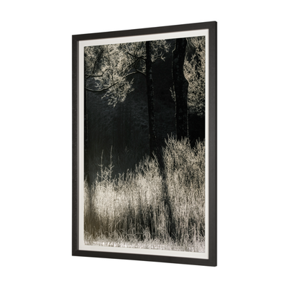 Estampe encadrée « Symétrie tranquille »