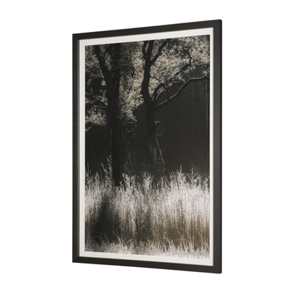 Estampe encadrée « Symétrie tranquille »