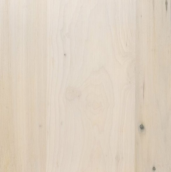 Console multimédia Trey