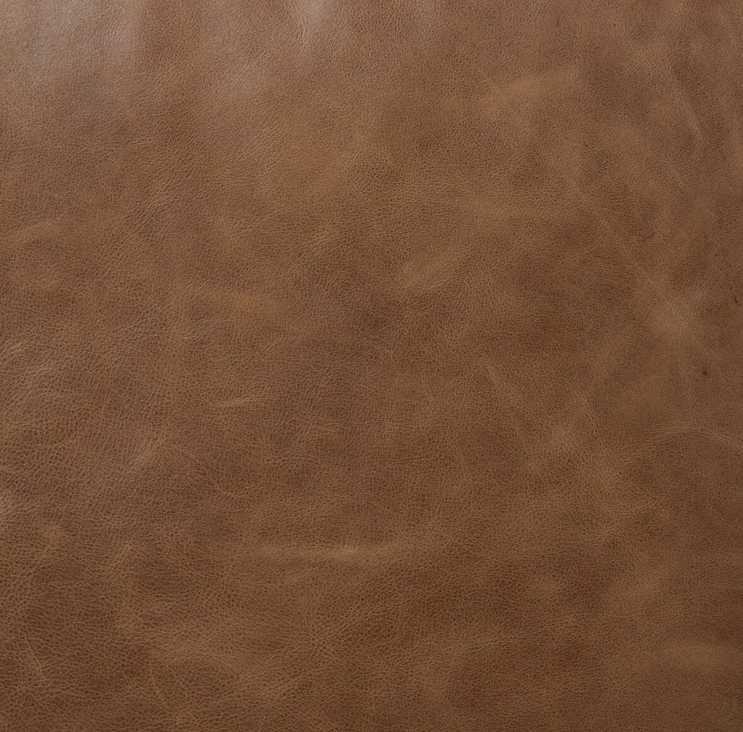 Chaise Warren x Amber Lewis x Four Hands