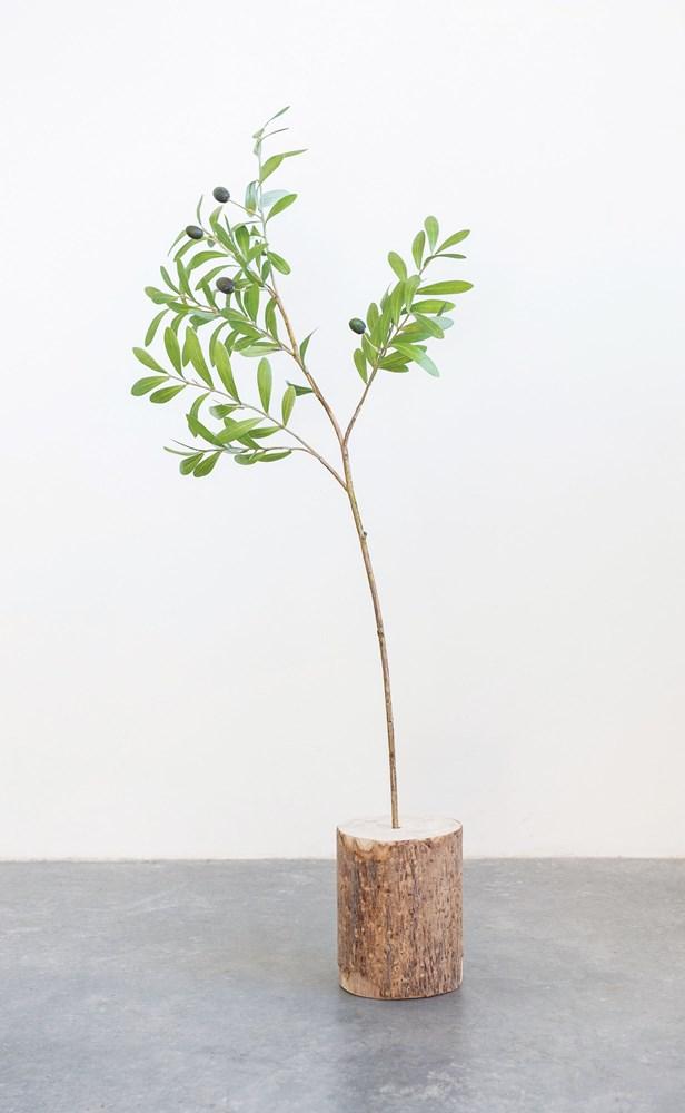 Faux olivier