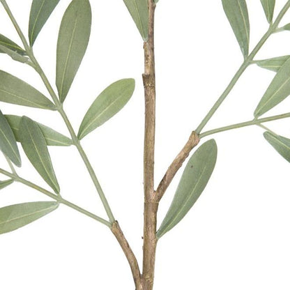 Faux olivier