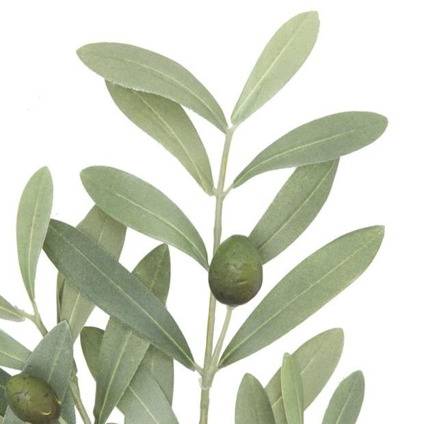 Faux olivier