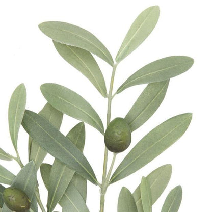 Faux olivier