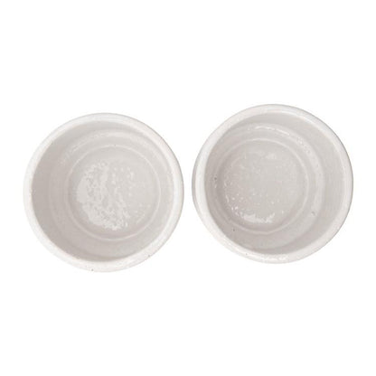 Pots à sel et à poivre en grès