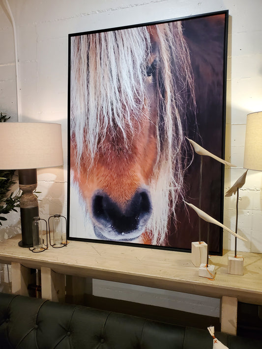 Œuvres d'art encadrées Poni