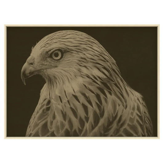 Œuvre d'art représentant un faucon, encadrée en érable.