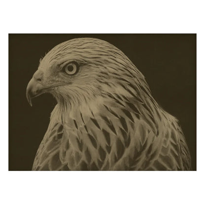 Œuvre d'art représentant un faucon, encadrée en érable.